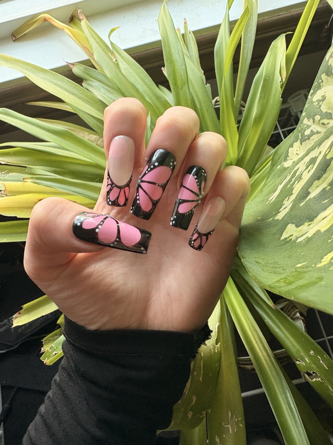 Close-up of pink and black butterfly nail art on a hand