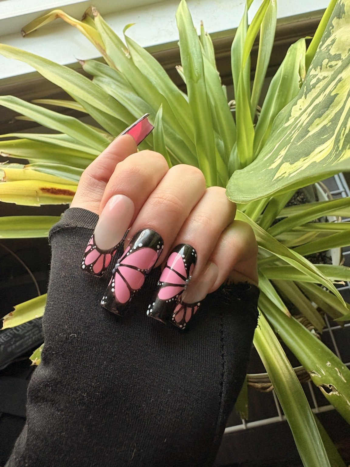 Pink butterfly wing nail art with black outlines and white dotted details